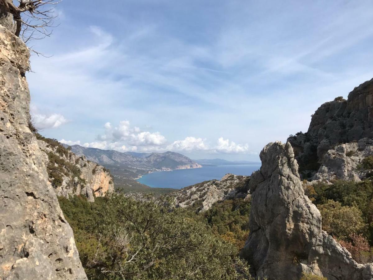 Appartamenti Le Conchiglie E Le Stelle Marine Cala Gonone Exterior foto